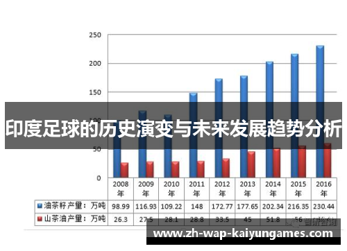 印度足球的历史演变与未来发展趋势分析