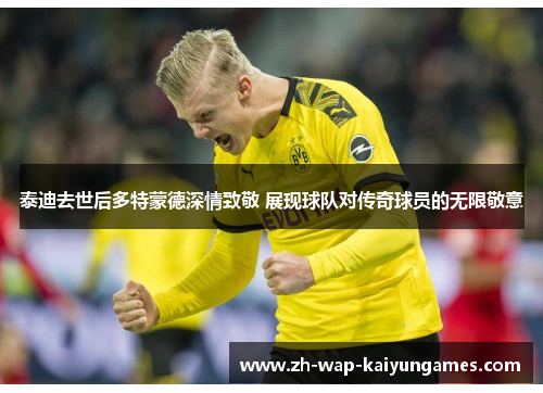 泰迪去世后多特蒙德深情致敬 展现球队对传奇球员的无限敬意 泰迪去世后多特蒙德深情致敬 展现球队对传奇球员的无限敬意