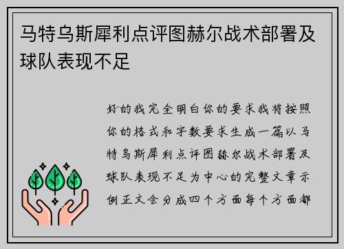 马特乌斯犀利点评图赫尔战术部署及球队表现不足
